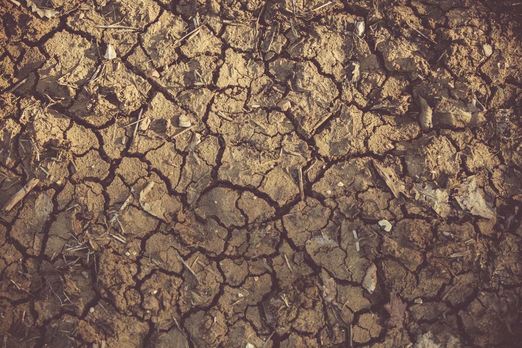 drought